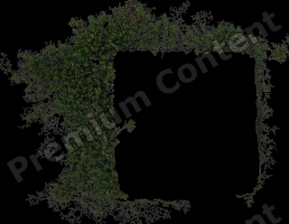 High Resolution Decal Grass Texture 0001